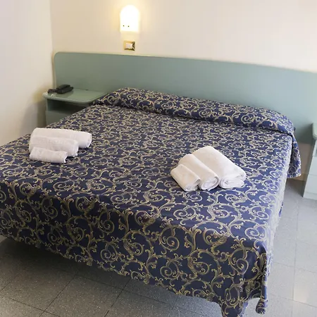 호텔 엠베서더스 4*